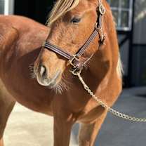 Thumbnail photo of River #1