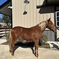 Thumbnail photo of River #2