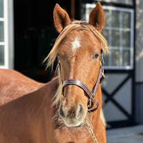 Thumbnail photo of River #3