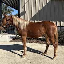 Thumbnail photo of River #4