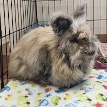 Thumbnail photo of Dalilha #3