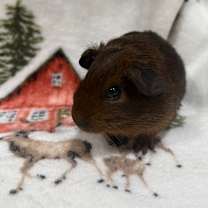 Thumbnail photo of Ina #2