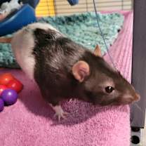 Thumbnail photo of Aaron  #1