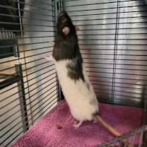 Thumbnail photo of Aaron  #2