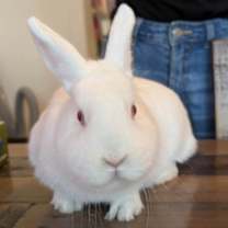 Thumbnail photo of Flora #3