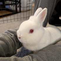 Thumbnail photo of Lilo #3