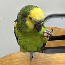 Thumbnail photo of Ricky #1