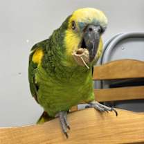 Thumbnail photo of Ricky #3