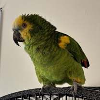 Thumbnail photo of Ricky #4