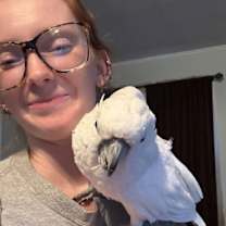 Thumbnail photo of Frankie #2