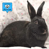 Thumbnail photo of Mamma Mia #1