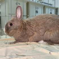 Thumbnail photo of Avery #4