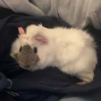 Thumbnail photo of Squash #1