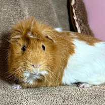 Thumbnail photo of Sam and Dean #3