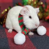 Thumbnail photo of Jingle Bell #1