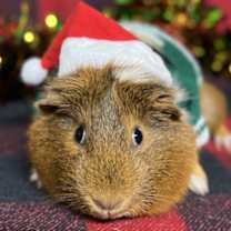 Thumbnail photo of Emilia #1