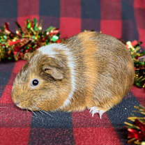 Thumbnail photo of Emilia #2