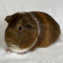 Thumbnail photo of Emilia #3