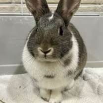 Thumbnail photo of Valley #1