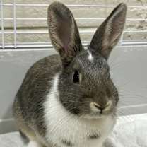 Thumbnail photo of Valley #2