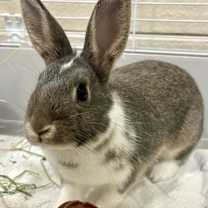 Thumbnail photo of Valley #3