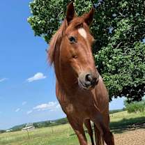 Thumbnail photo of OB #1