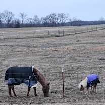 Thumbnail photo of OB #3