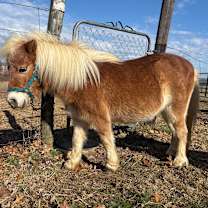 Thumbnail photo of Odessa #4