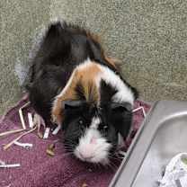 Thumbnail photo of Storm #1