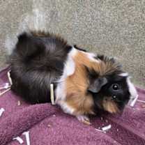 Thumbnail photo of Storm #2