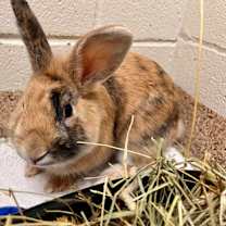 Thumbnail photo of ERIE #2