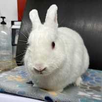 Thumbnail photo of Casper #1