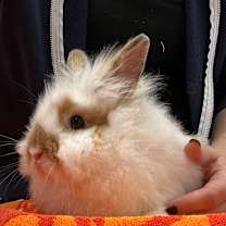 Thumbnail photo of Benny #1