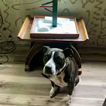 Thumbnail photo of Pitch #4