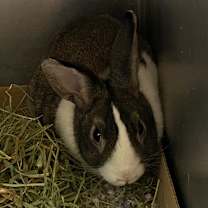 Thumbnail photo of Becky #2