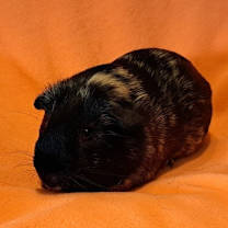 Thumbnail photo of Jackpot #1