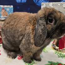 Thumbnail photo of Stevie #3