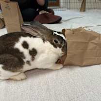 Thumbnail photo of Fuzz Aldrin #2