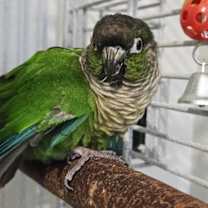 Thumbnail photo of Kit #2