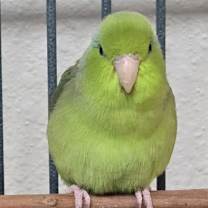 Thumbnail photo of Ariel #3