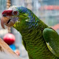 Thumbnail photo of Fairbanks #1