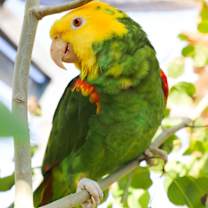 Thumbnail photo of Juanita #1