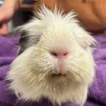 Thumbnail photo of Carl #1