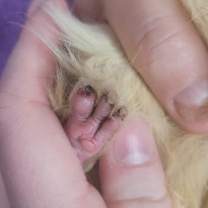 Thumbnail photo of Carl #3