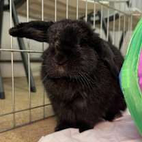 Thumbnail photo of Rainbow 1 #2