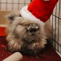 Thumbnail photo of Dalilha #1