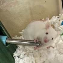 Thumbnail photo of Epwex #2