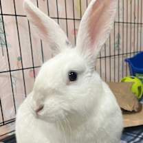 Thumbnail photo of Priya #2