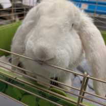 Thumbnail photo of Peralta #2