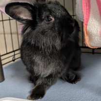 Thumbnail photo of Froufroune #3